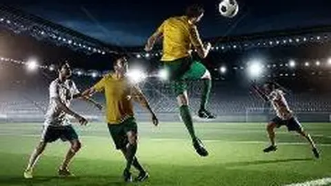 2025年8月11日启动体育类高职专科首次志愿征集报名