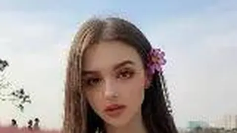 迪拜航展惊现飞机表演坠毁事故